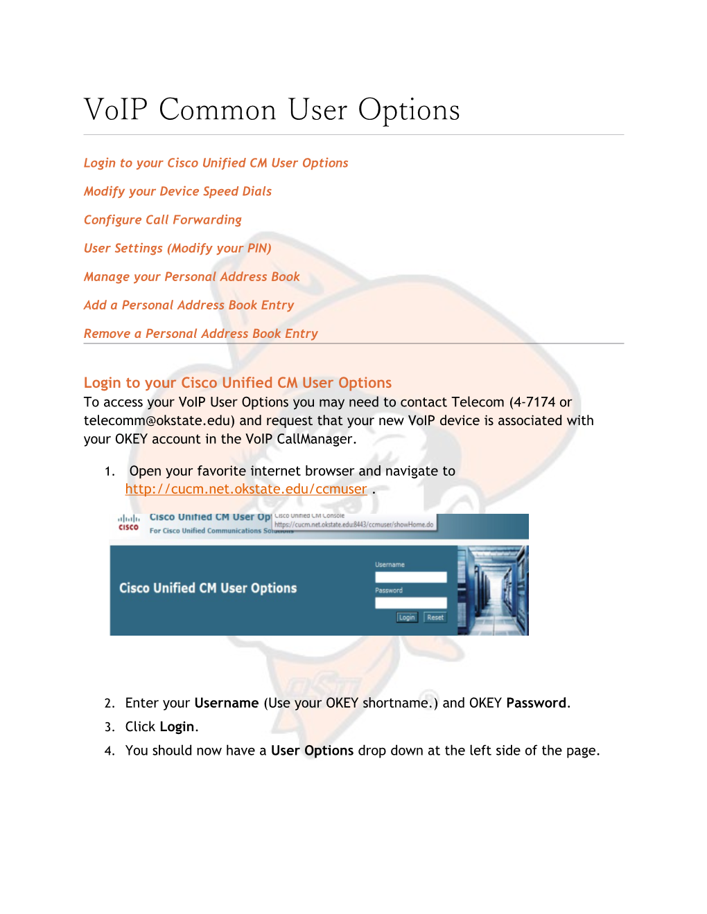 Loginto Yourcisco Unified CM User Options