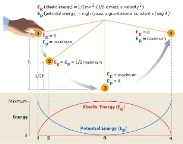 Energy of a Pendulum