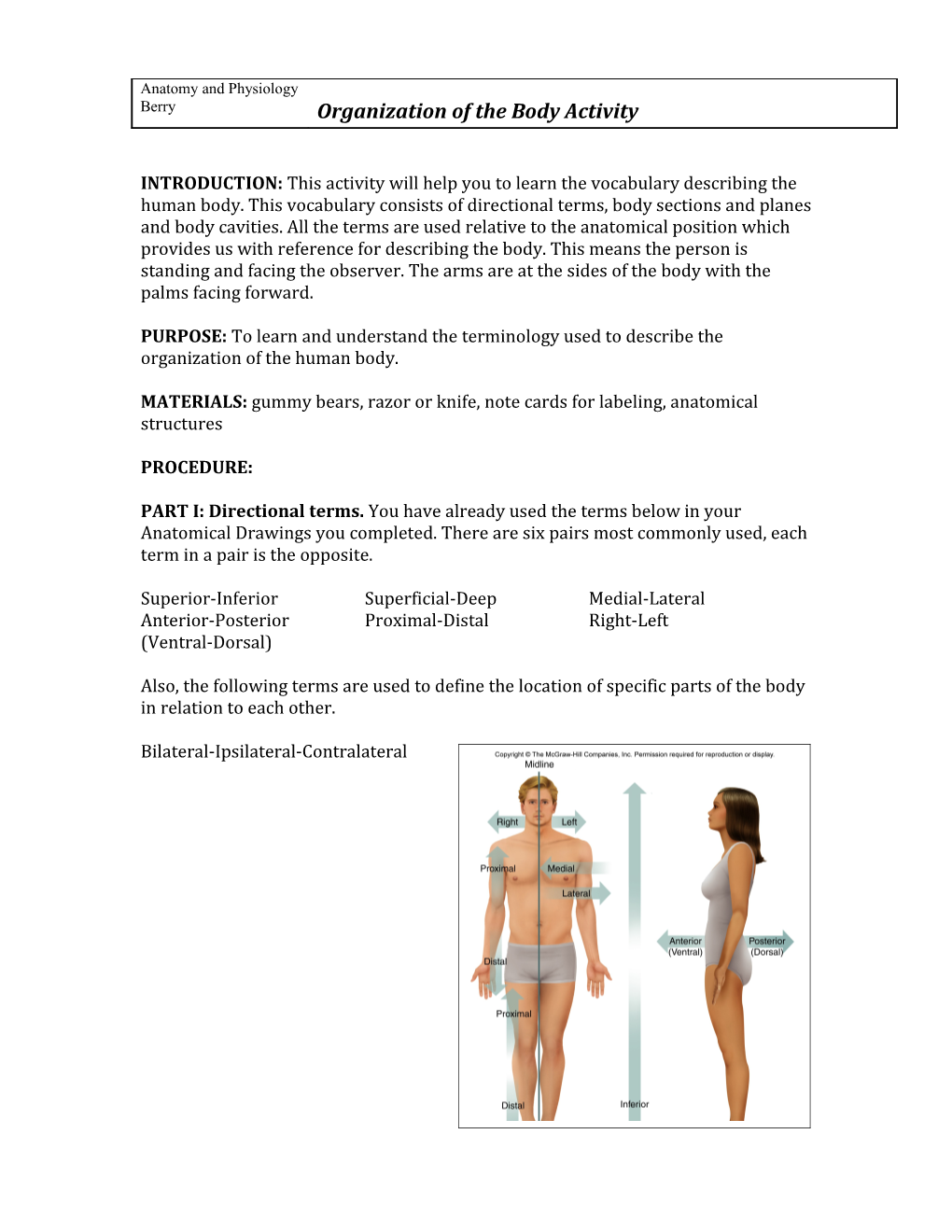 Body Organization Lab