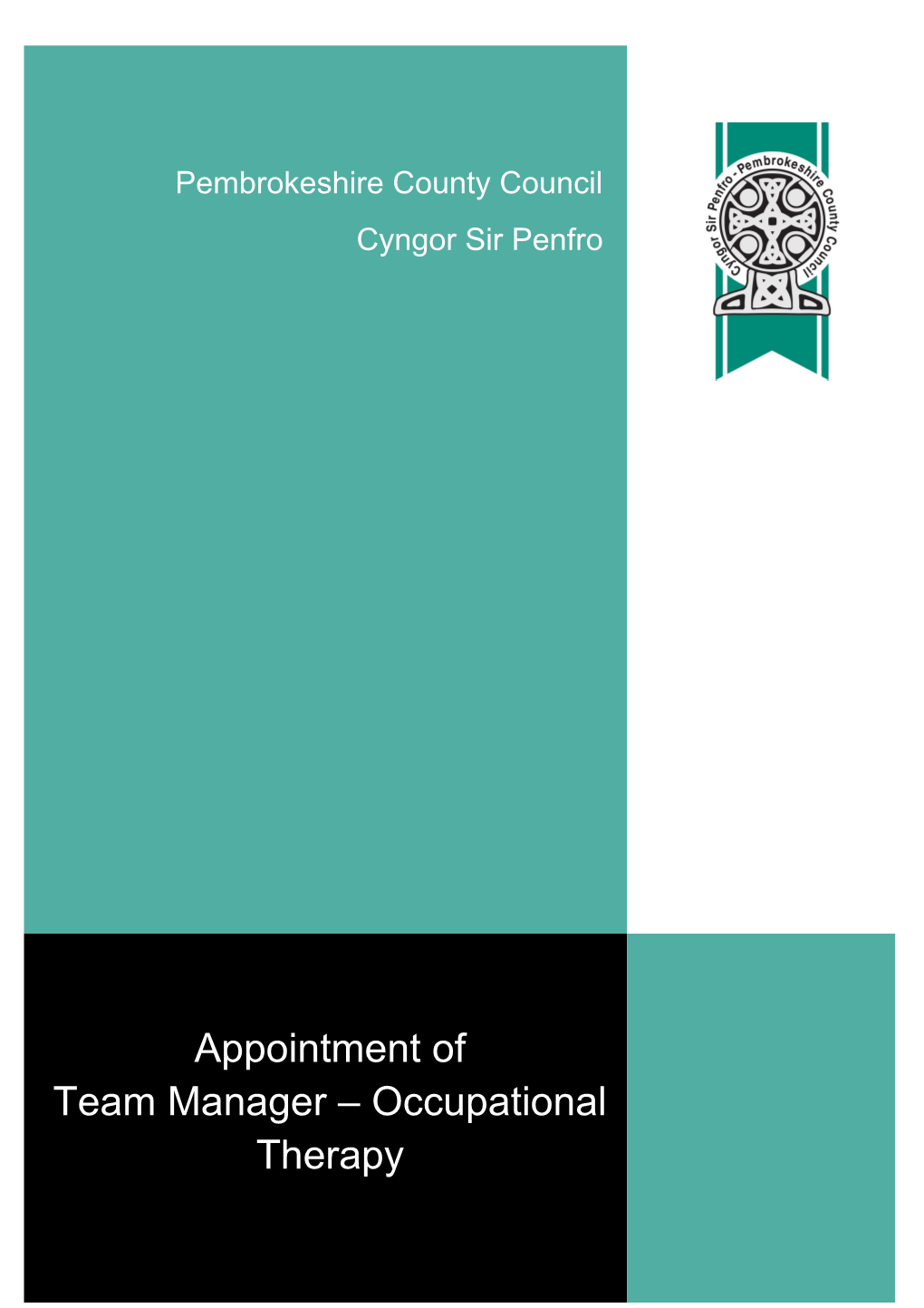 Team Manager Occupational Therapy