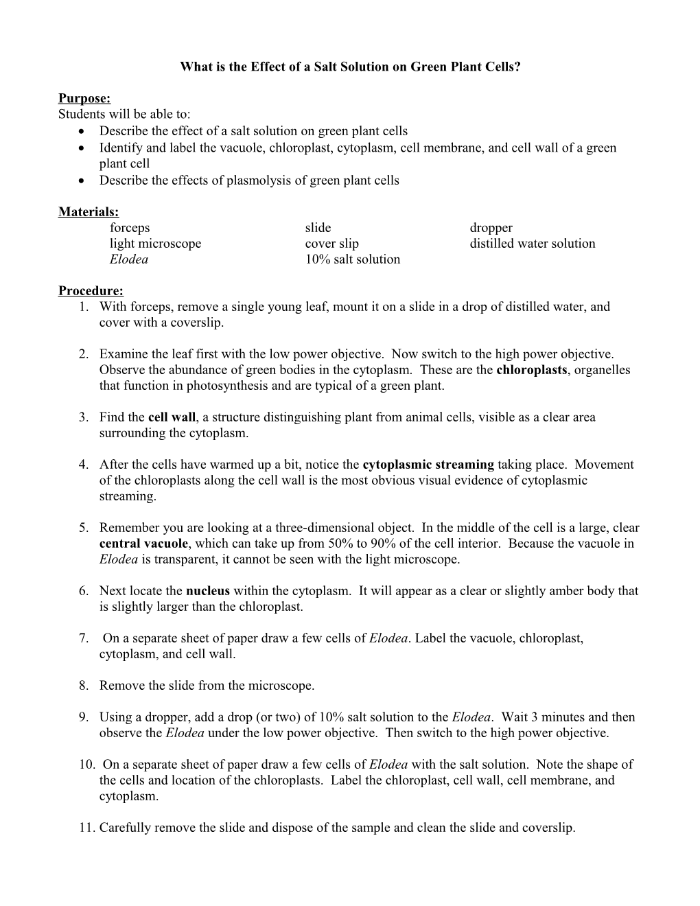 What Is the Effect of a Salt Solution on Green Plant Cells