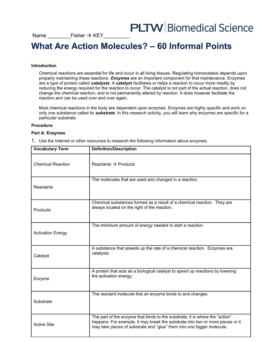 What Are Action Molecules? 60 Informal Points