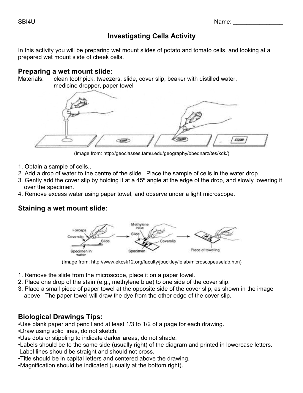 Investigating Cells Activity