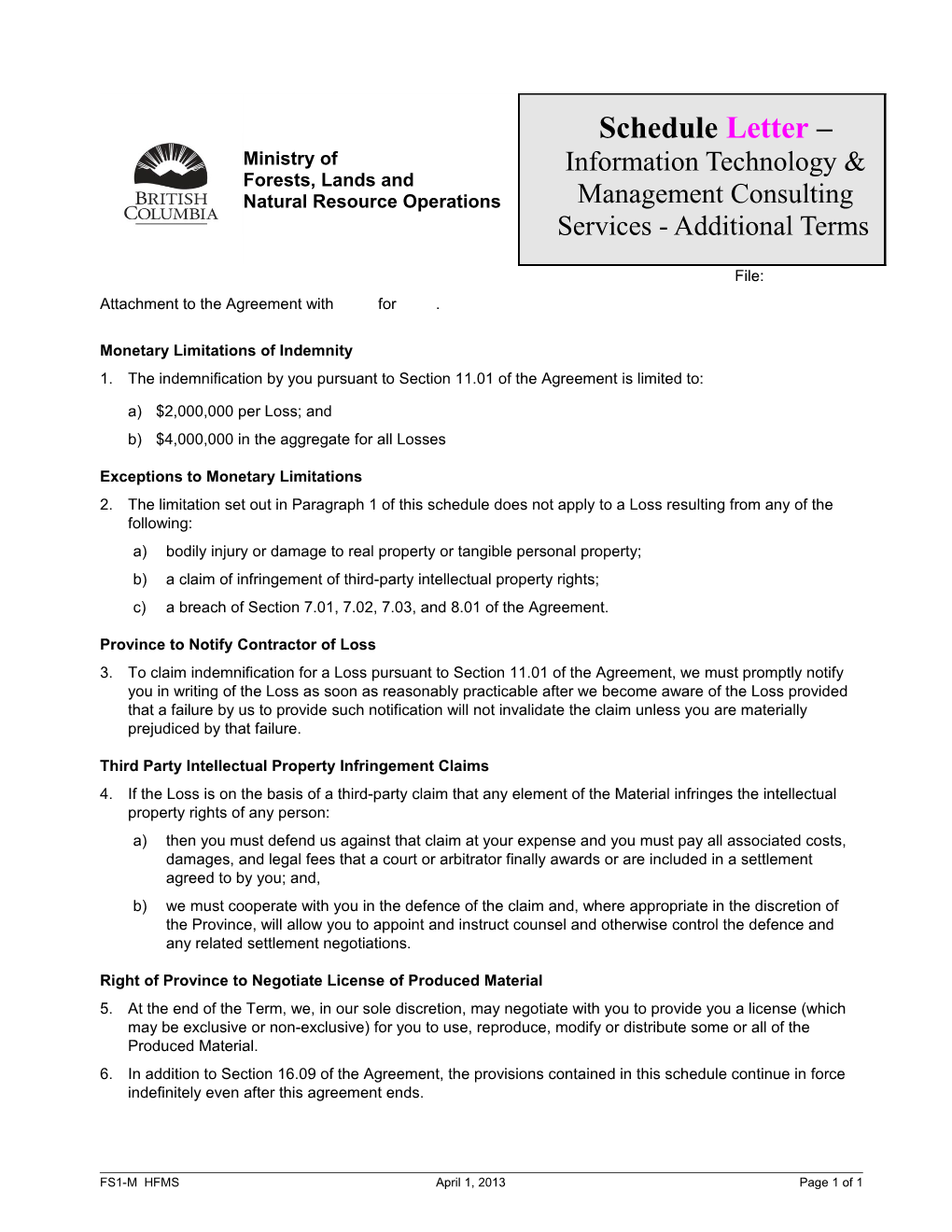 Schedule * - IT & Consulting Mgmt Additional Terms