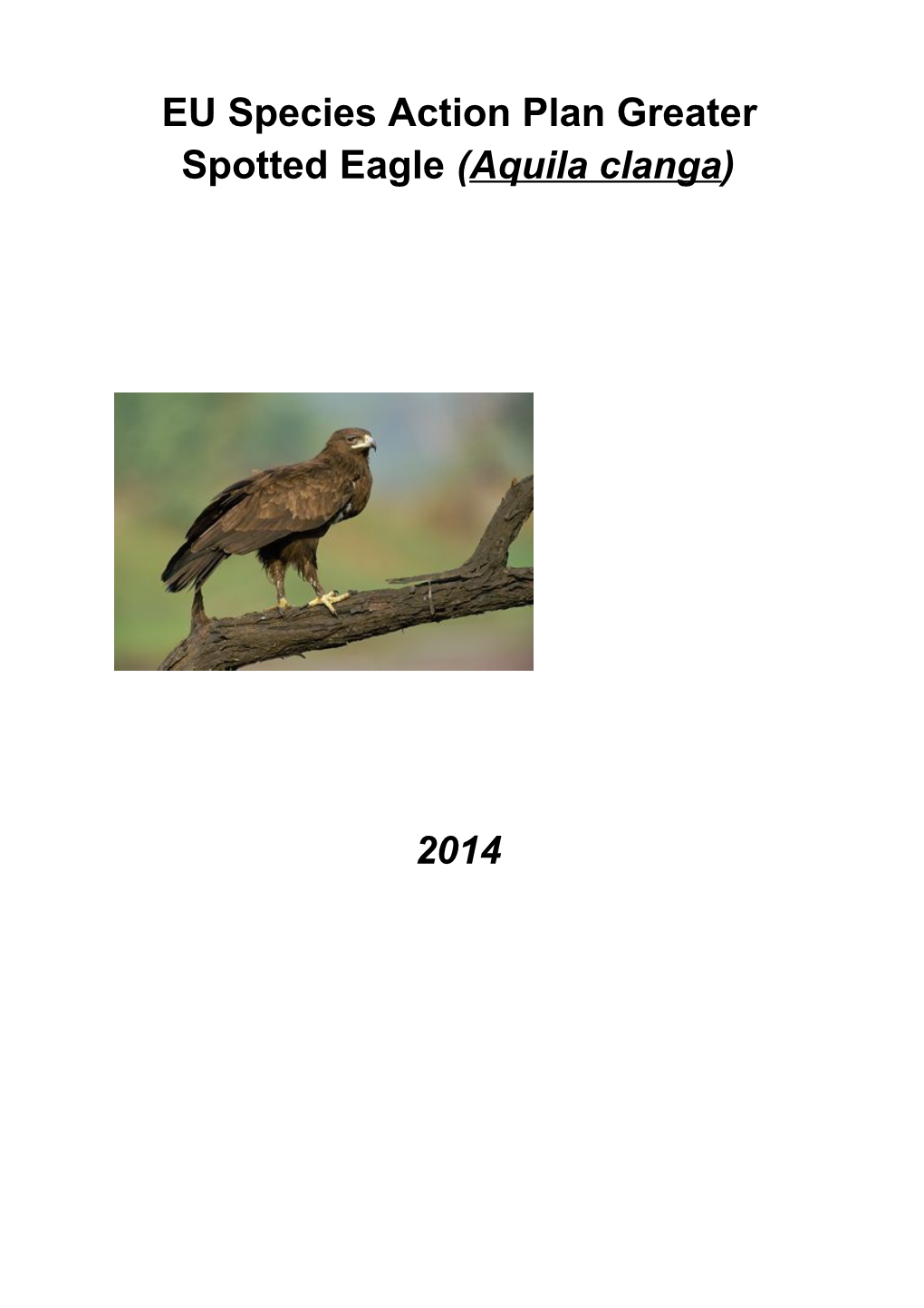 European Union Action Plans for Eight Priority Bird Species - Greater Sp Otted Eagle (Aquila