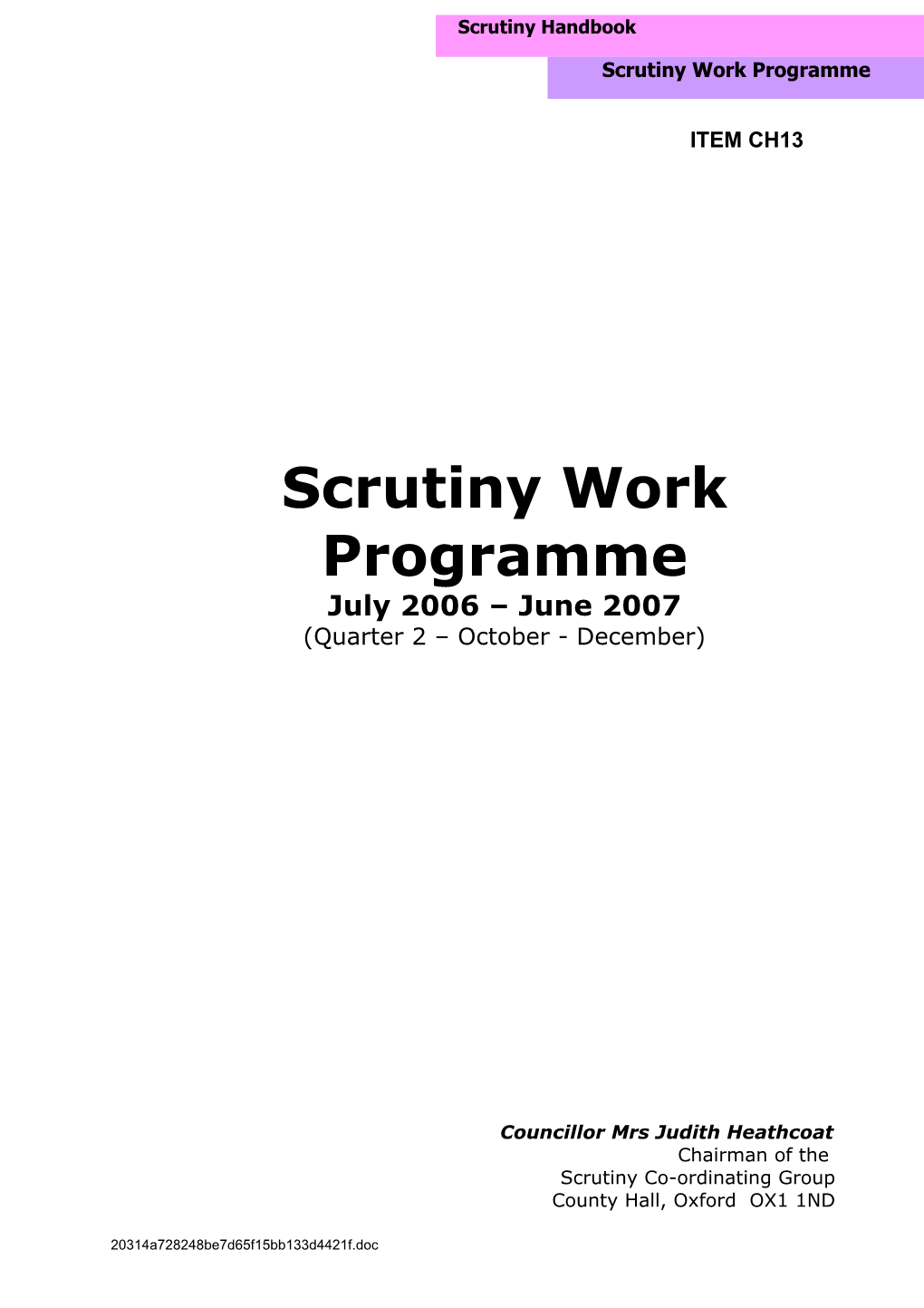 Scrutiny S Work Programme: Introduction