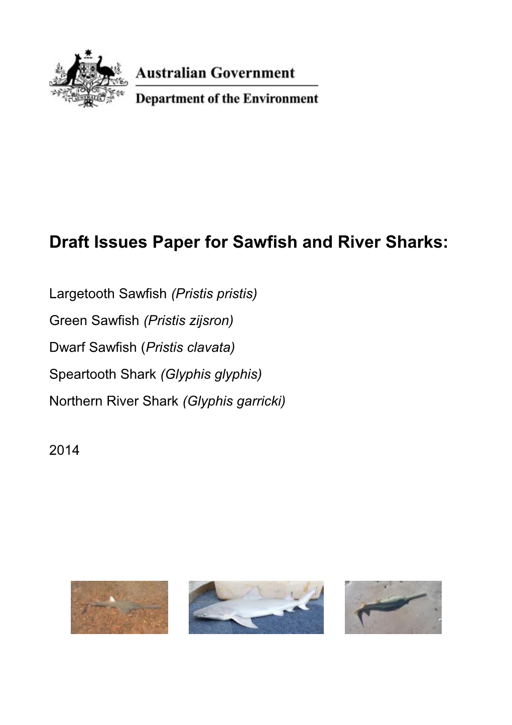 Draft Issues Paper for Sawfish and River Sharks: Largetooth Sawfish (Pristis Pristis) Green