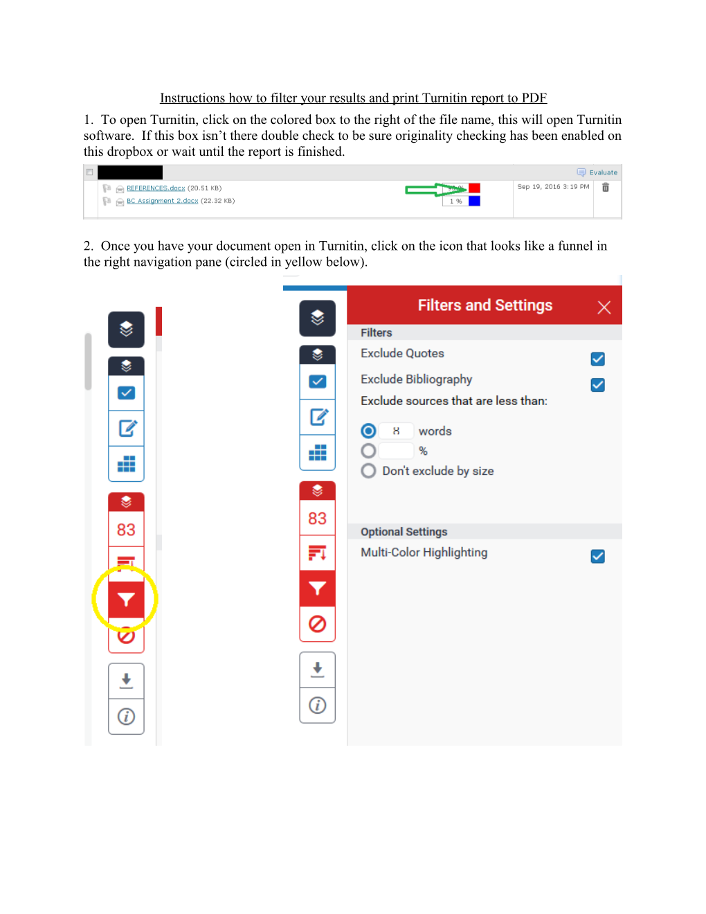 Instructions How to Filter Your Results and Print Turnitin Report to PDF