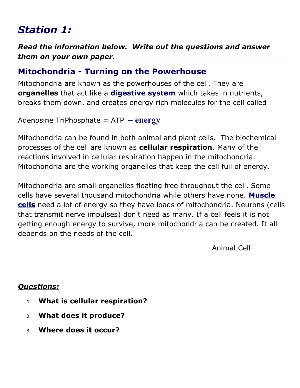 Mitochondria - Turning on the Powerhouse