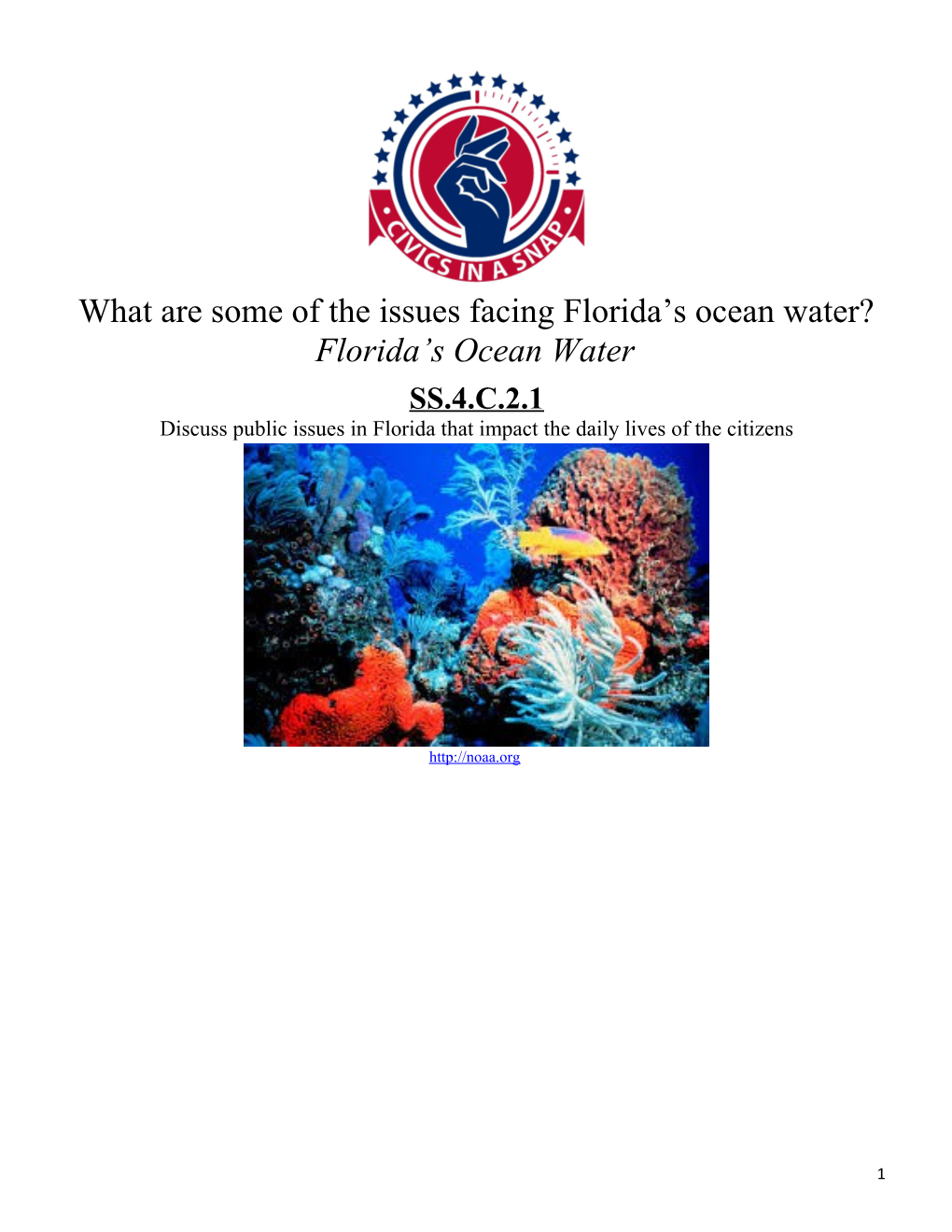 What Are Some of the Issues Facing Florida S Ocean Water?