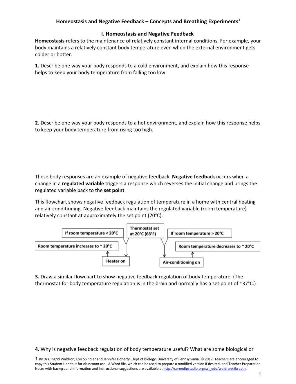 Homeostasis and Negative Feedback Concepts and Breathing Experiments 1