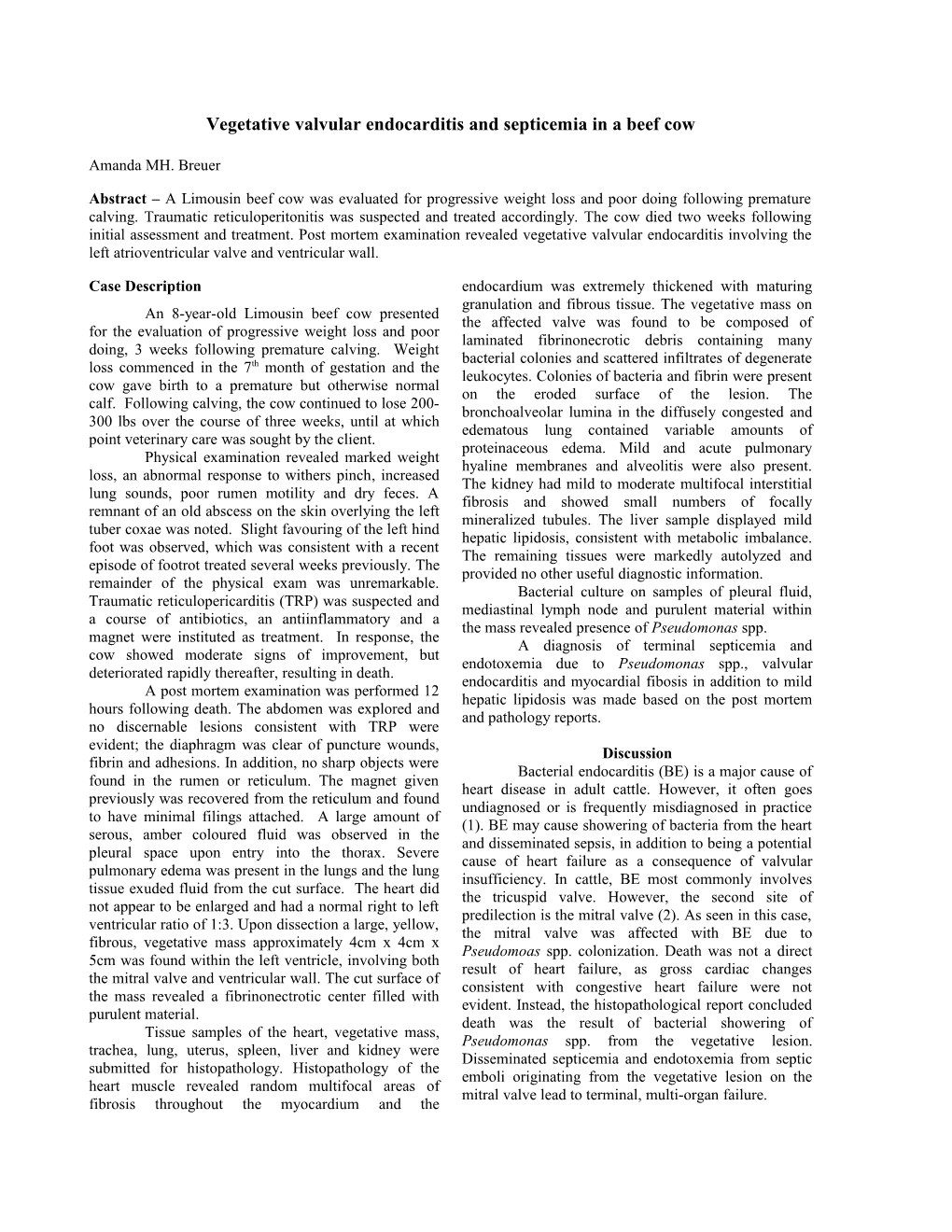 Vegetative Valvular Endocarditis and Septicemia in a Beef Cow