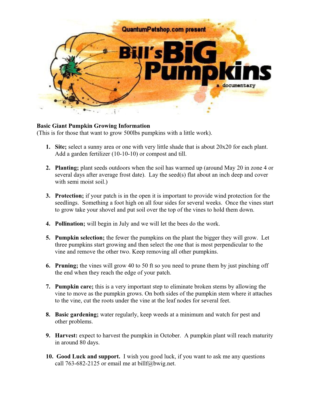 Basic Giant Pumpkin Growing Information