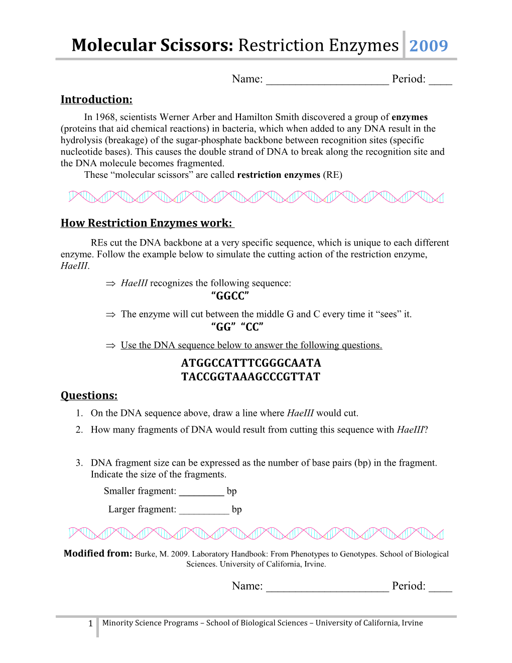 7Th Grade Life Science: Activity Outline s1