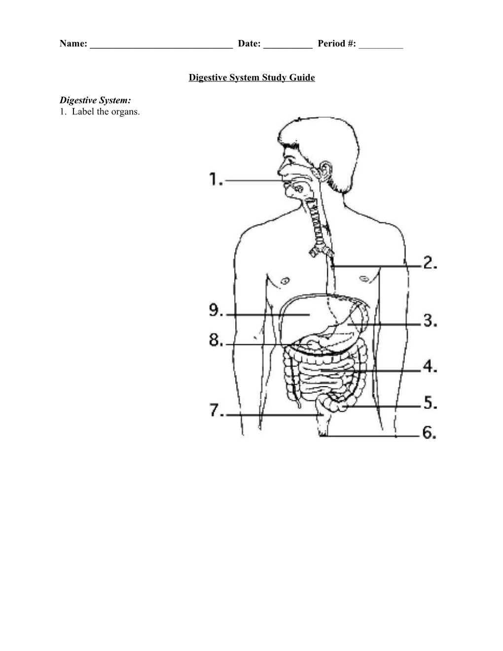 Digestive System Study Guide