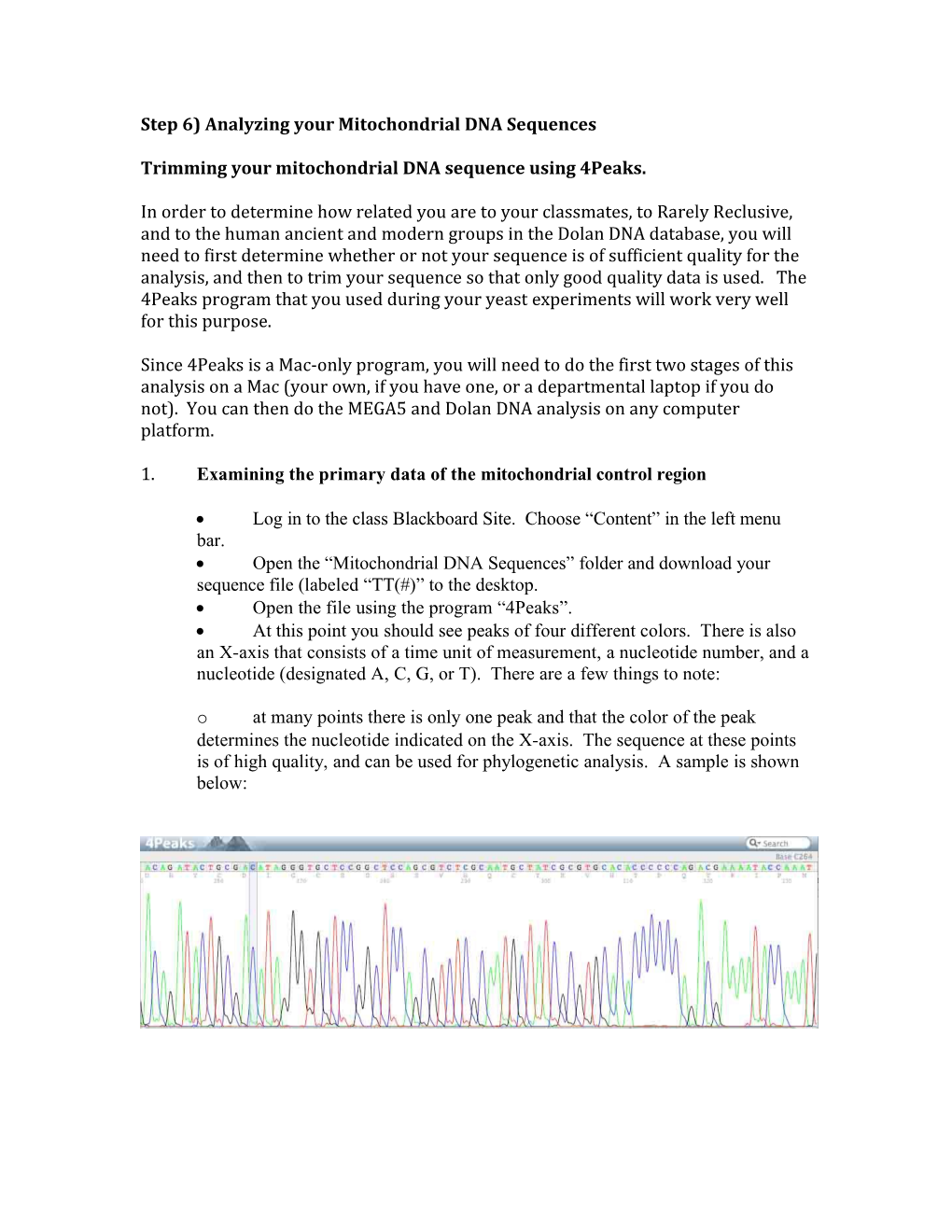 Step 6) Analyzing Your Mitochondrial DNA Sequences