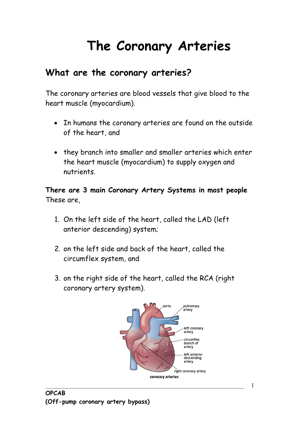 What Are the Coronary Arteries?