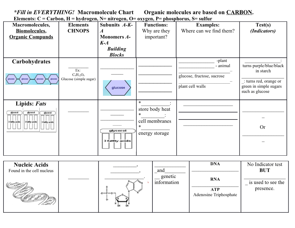 *Fill in EVERYTHING! Macromolecule Chart Organic Molecules Are Based on CARBON