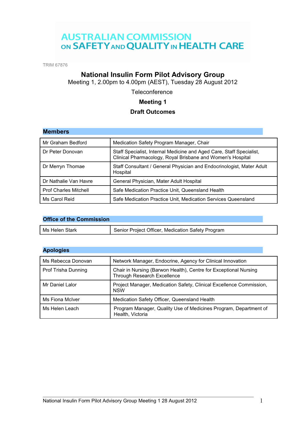 National Insulin Form Pilot Advisory Group