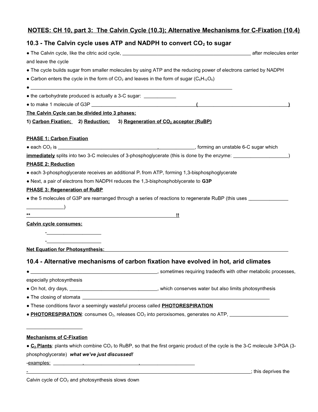 Ch 10 Notes (Part 3): the Calvin Cycle