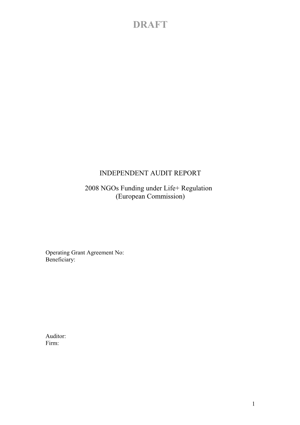 Rapport D Audit Externe