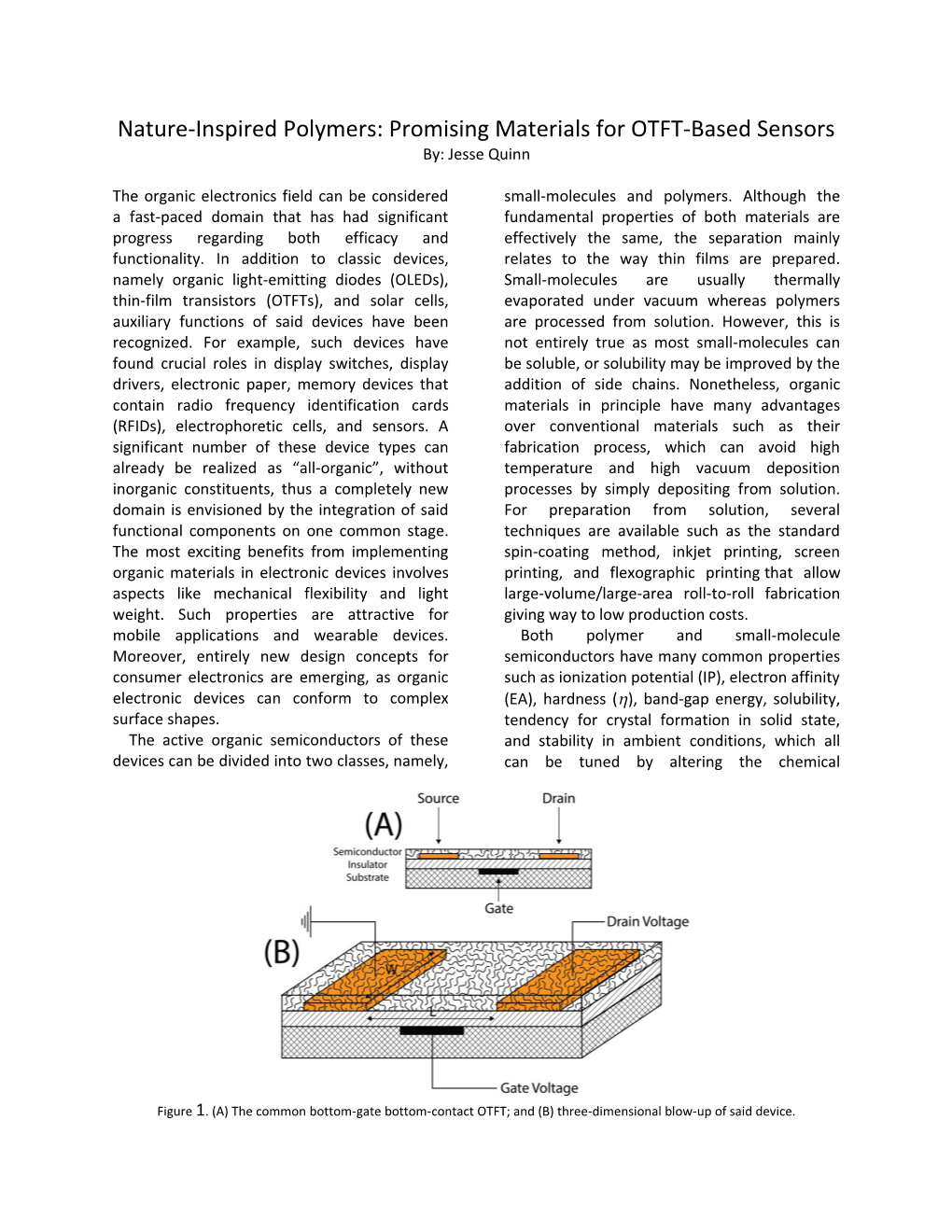 Nature-Inspired Polymers: Promising Materials for OTFT-Based Sensors