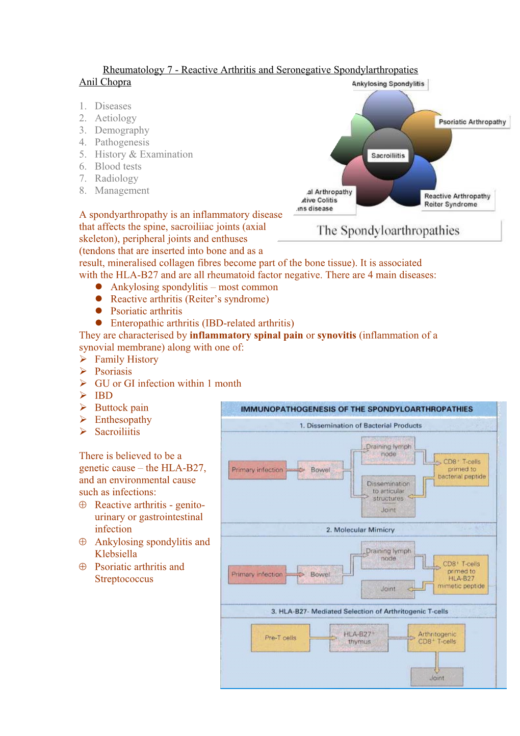 Rheumatology 7 - Reactive Arthritis and Seronegative Spondylarthropaties