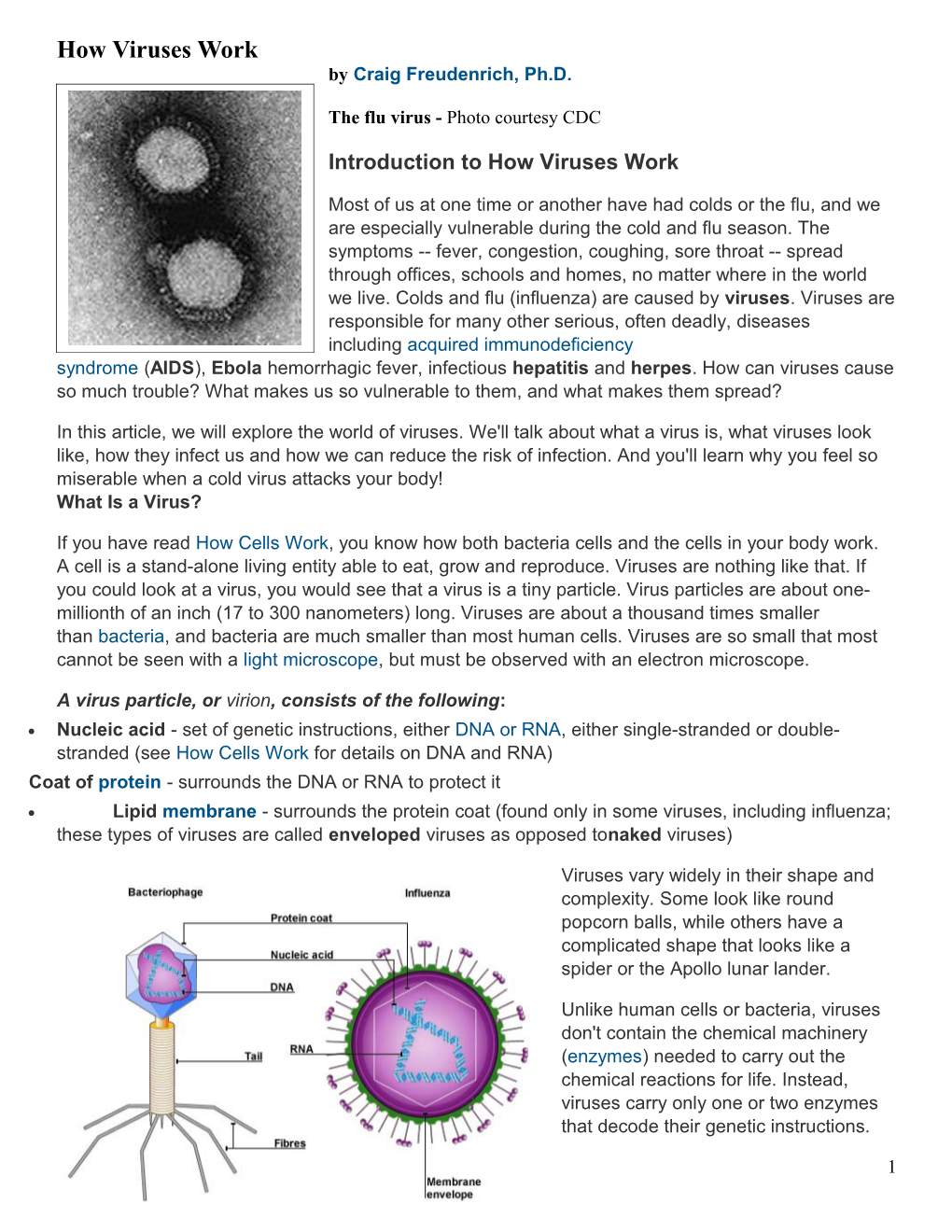 How Viruses Work