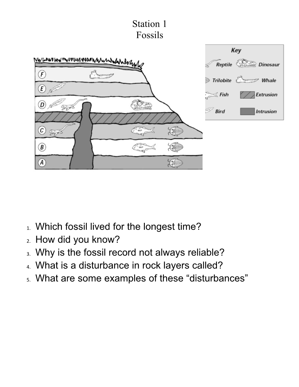 1. Which Fossil Lived for the Longest Time? s1