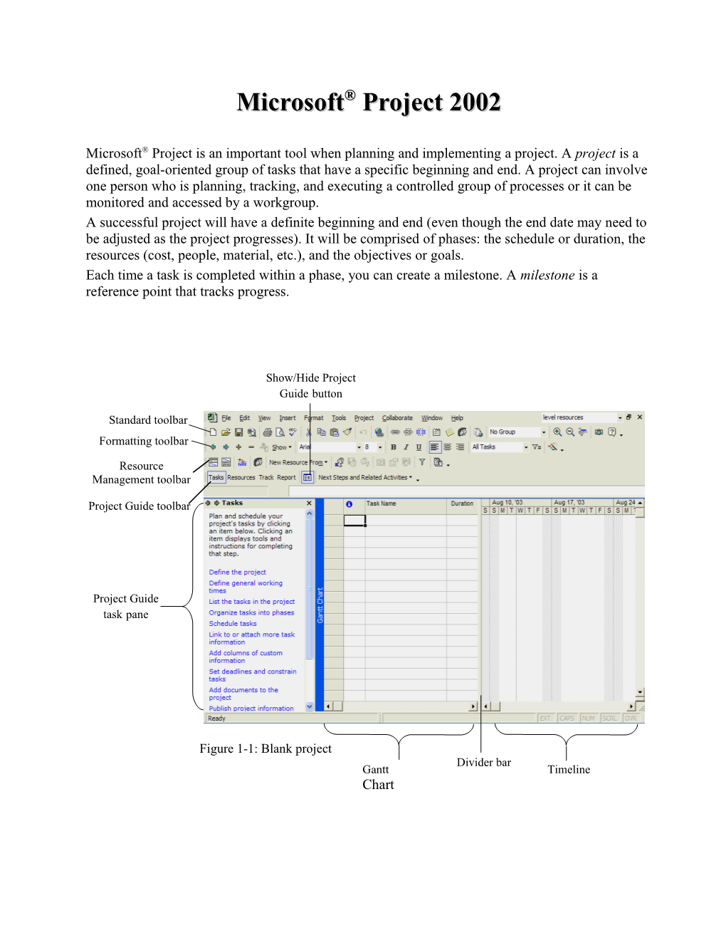 Microsoft Project 2002