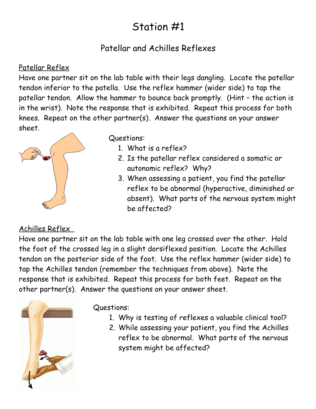 Patellar and Achilles Reflexes
