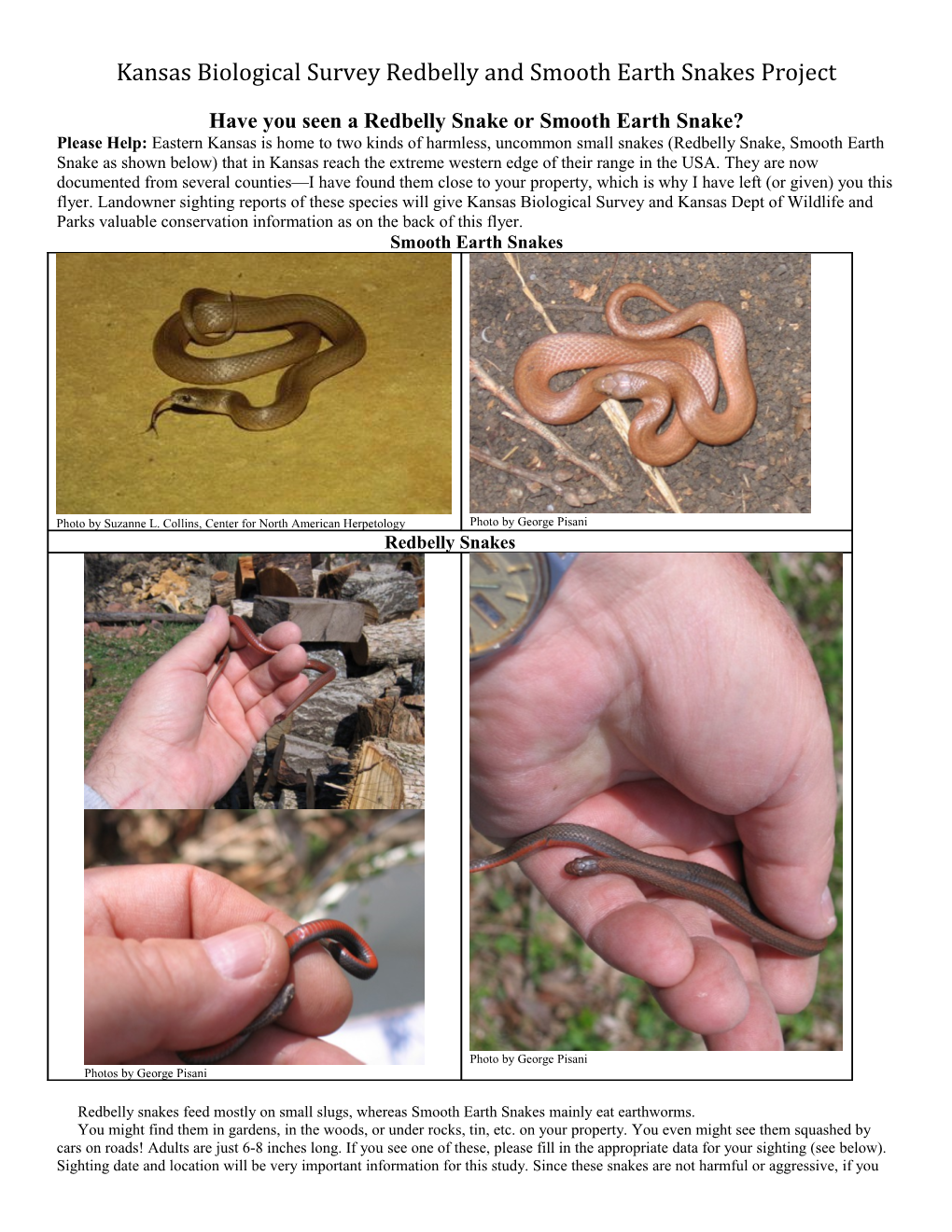 Kansas Biological Survey Redbelly and Smooth Earth Snakes Project