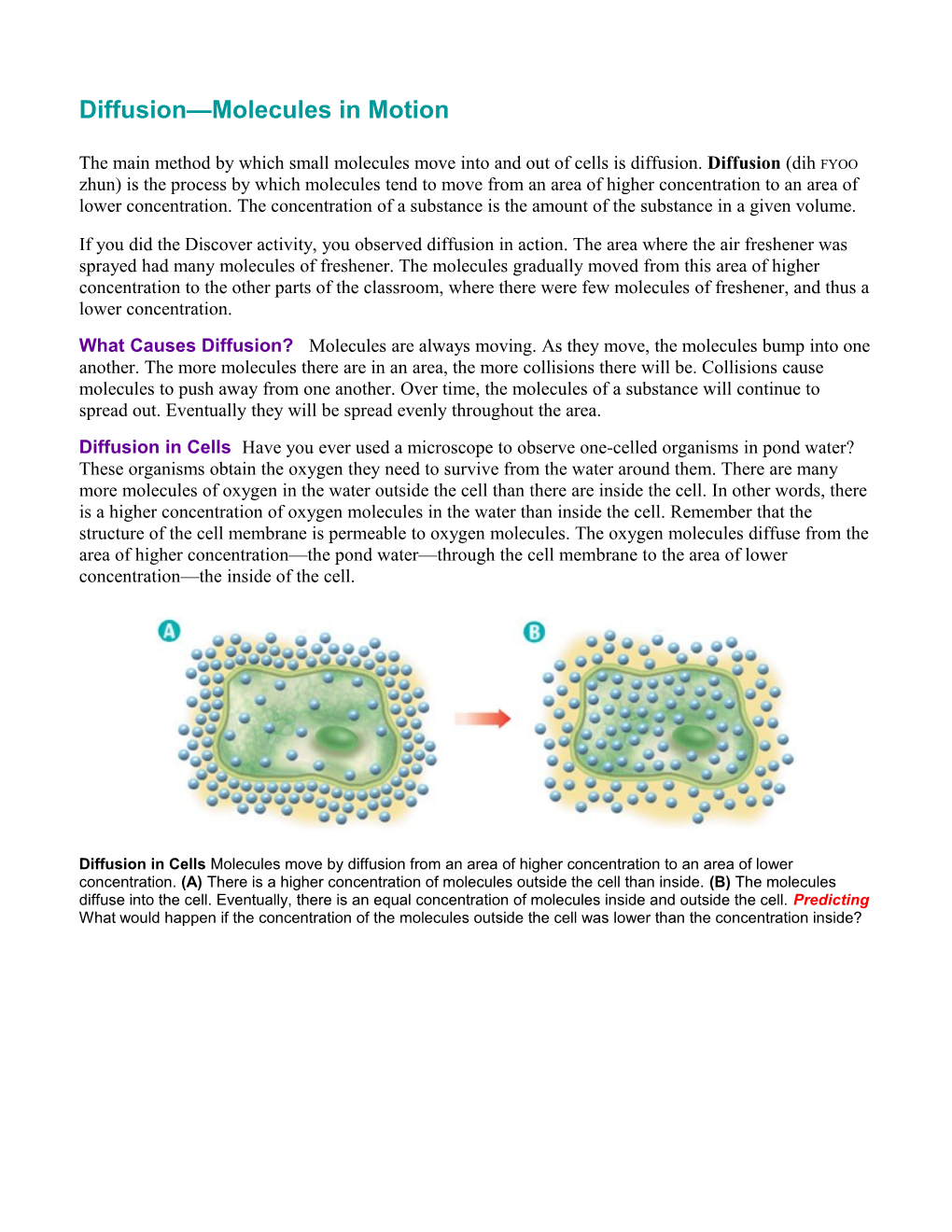 Diffusion Molecules in Motion