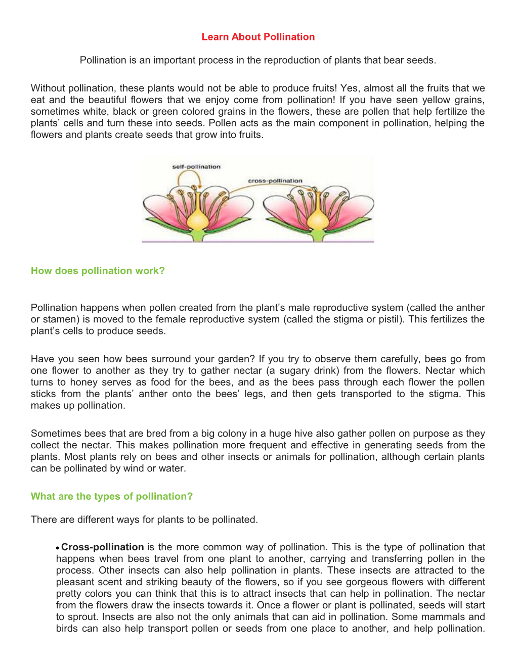 Learn About Pollination Pollination Is an Important Process in the Reproduction of Plants