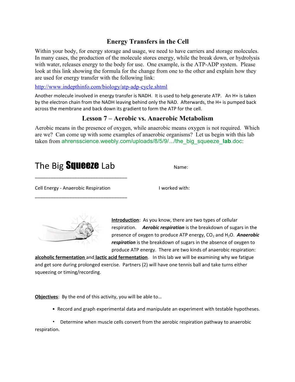 Energy Transfers in the Cell