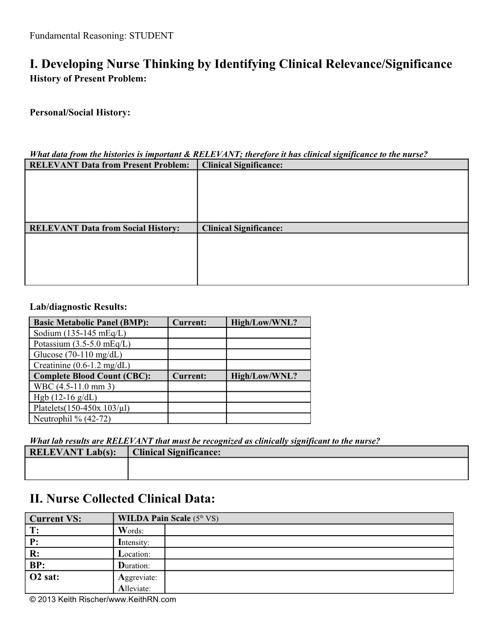 Template That Can Be Copied and Pasted to Develop Your Own Brief Clinical Application Exercises