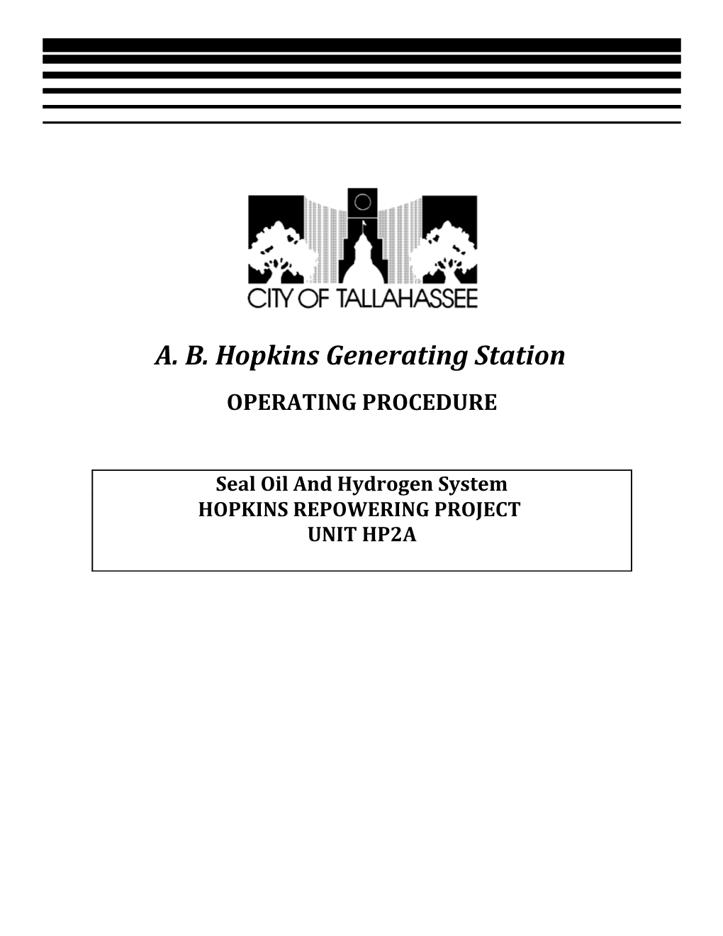 A.B. Hopkins Generating Station Seal Oil and Hydrogen System