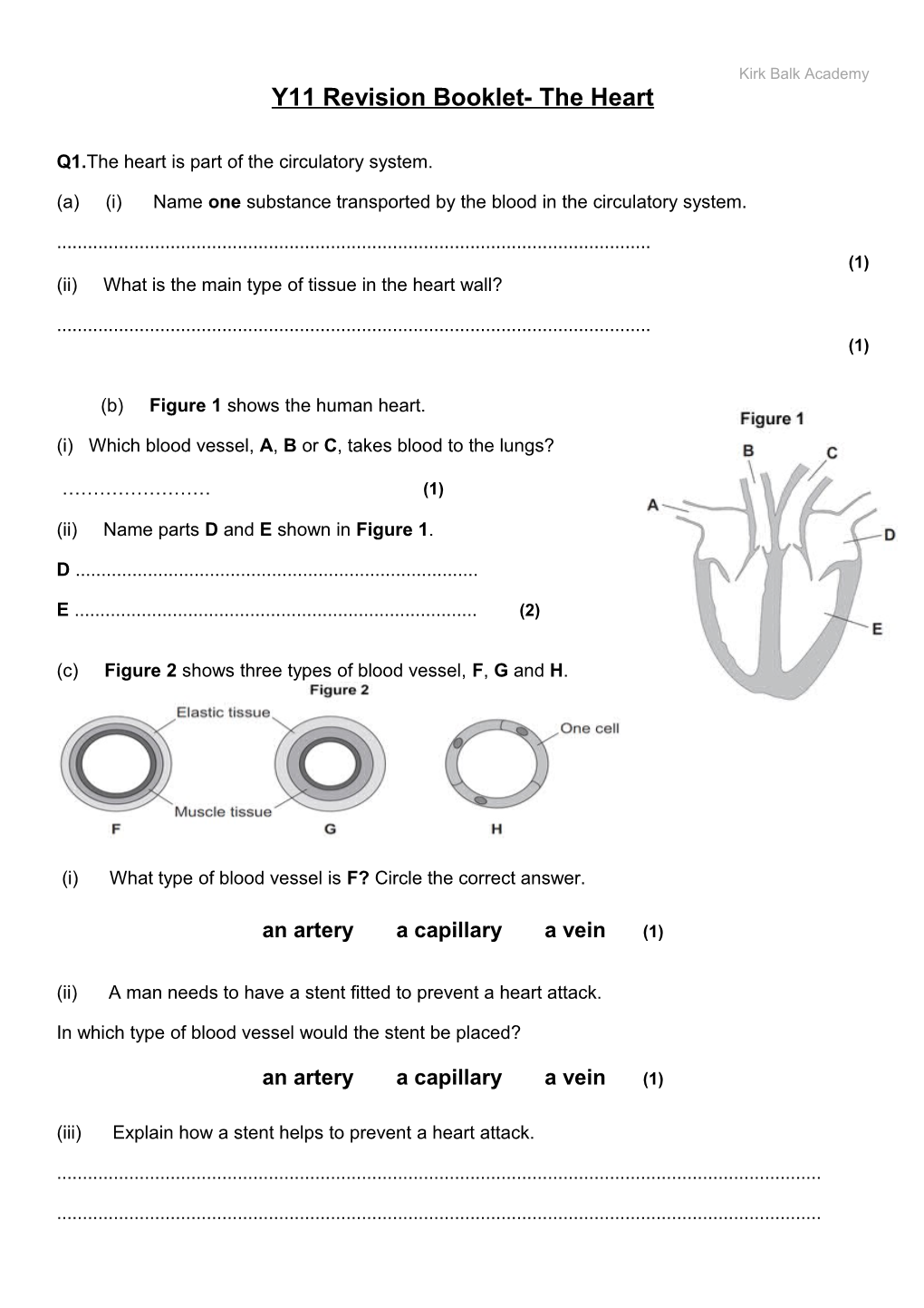 Q1.The Heart Is Part of the Circulatory System