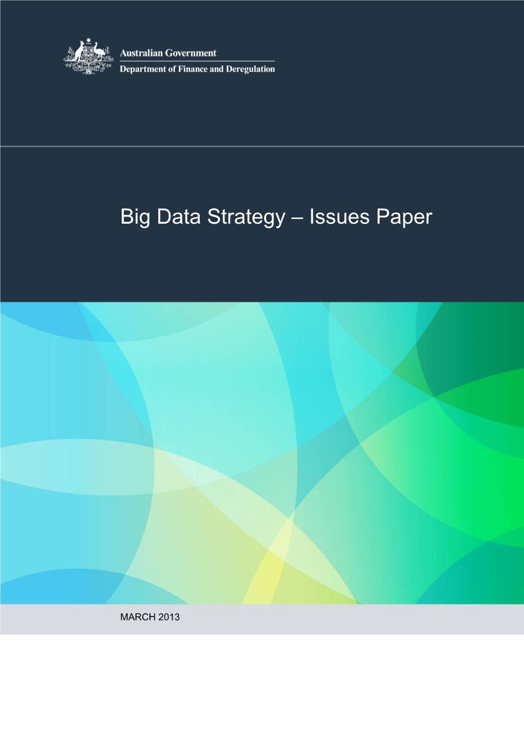 Big Data Strategy Issues Paper