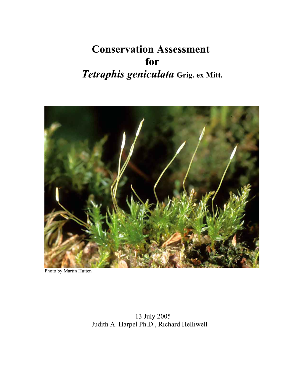 Conservation Assessment