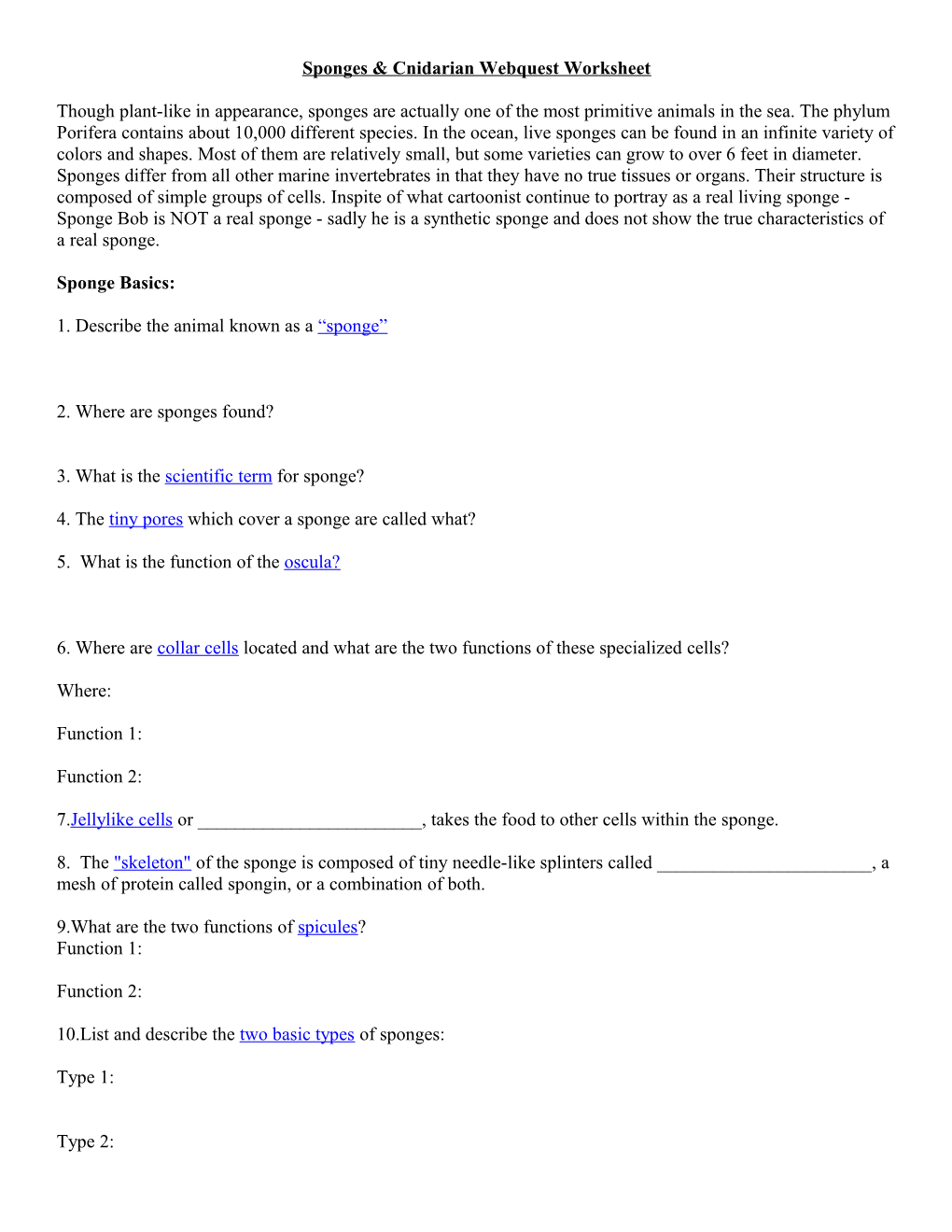 Sponges & Cnidarian Webquest Worksheet