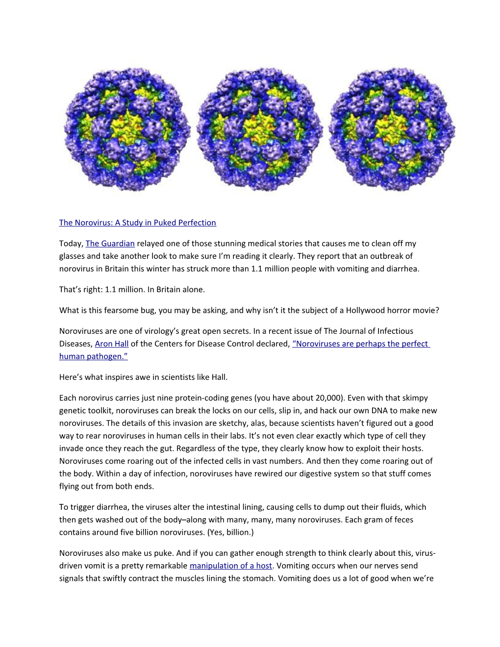 The Norovirus: a Study in Puked Perfection