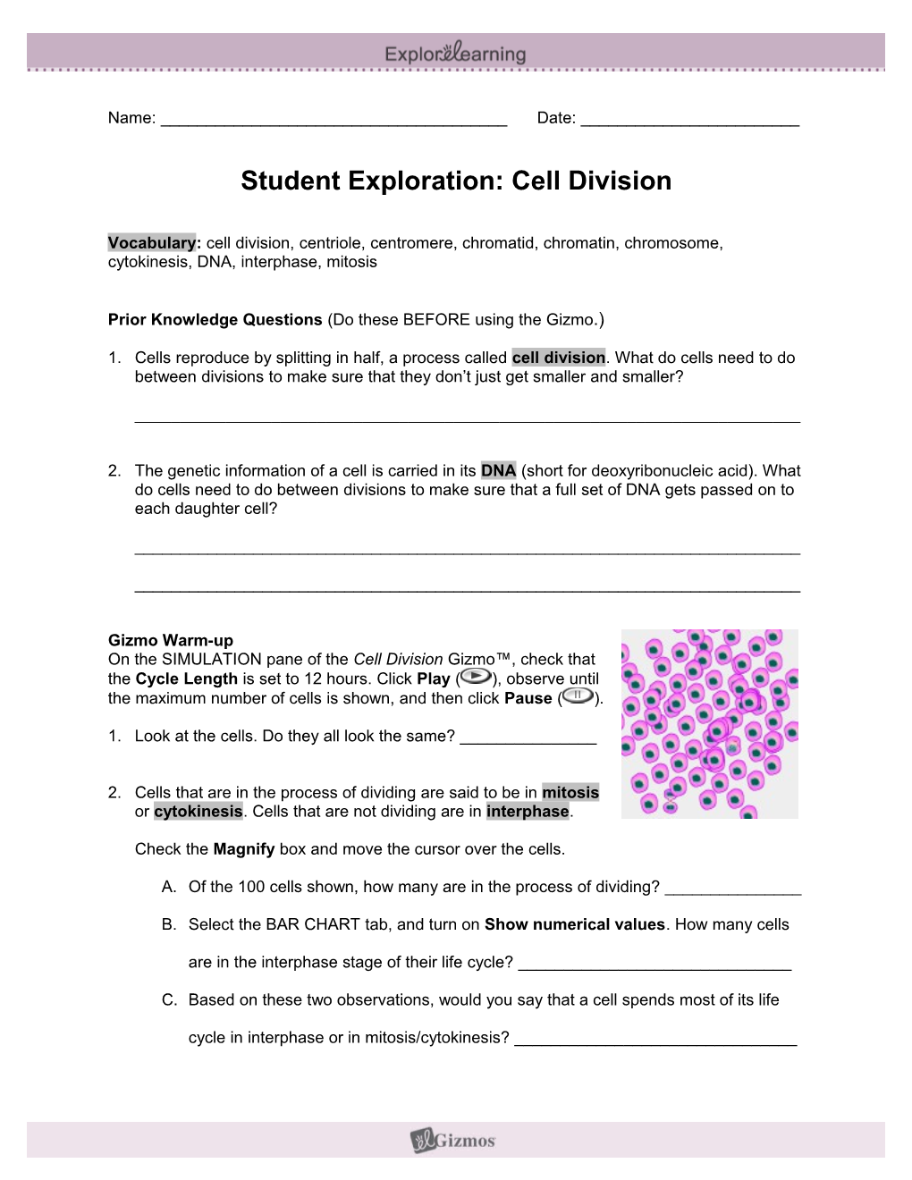 Student Exploration Sheet: Growing Plants s4