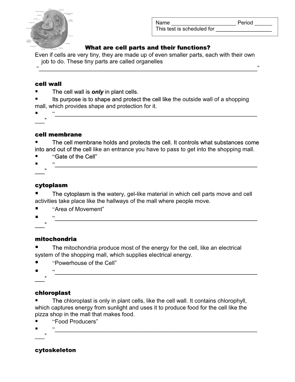 What Are Cell Parts and Their Functions