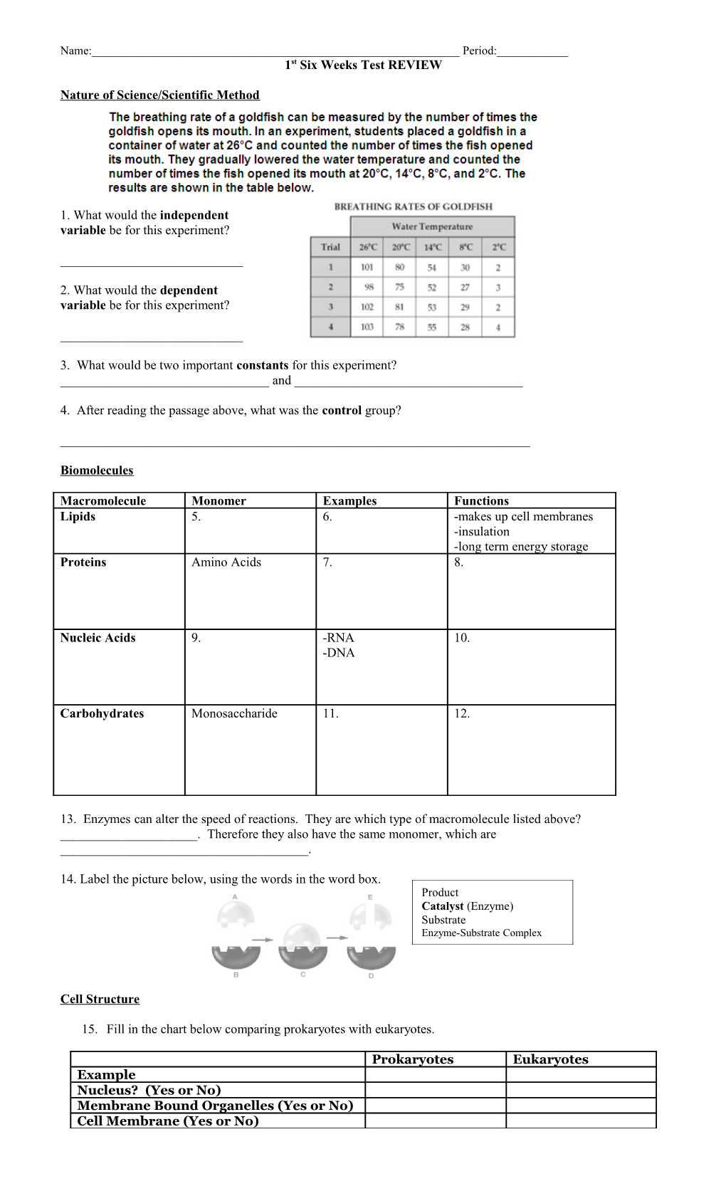 1St Six Weeks Test REVIEW