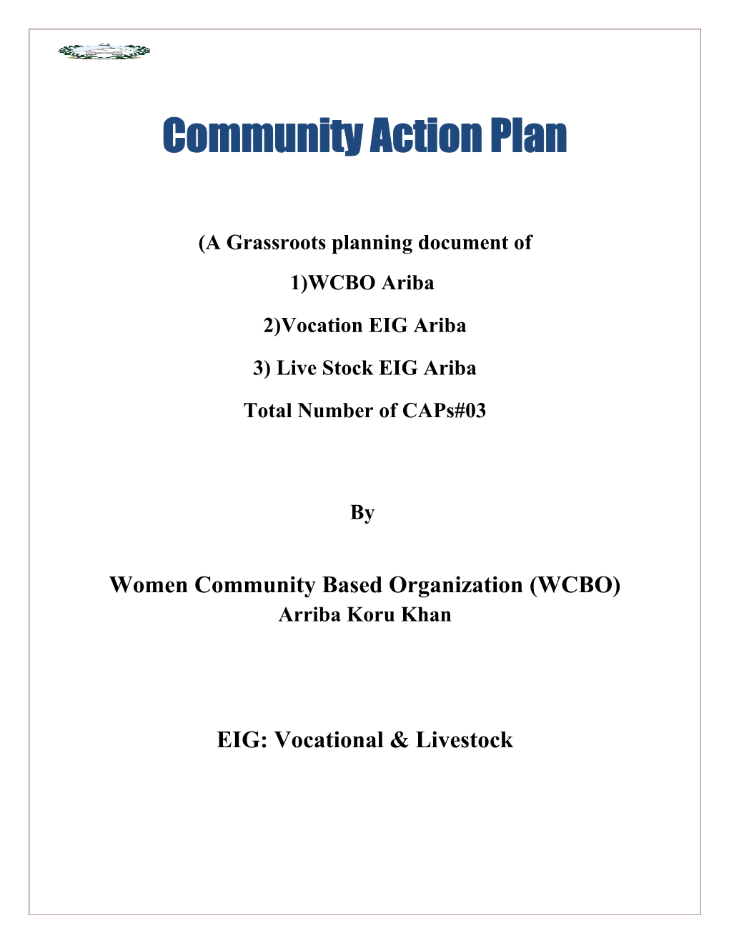 Community Action Plan