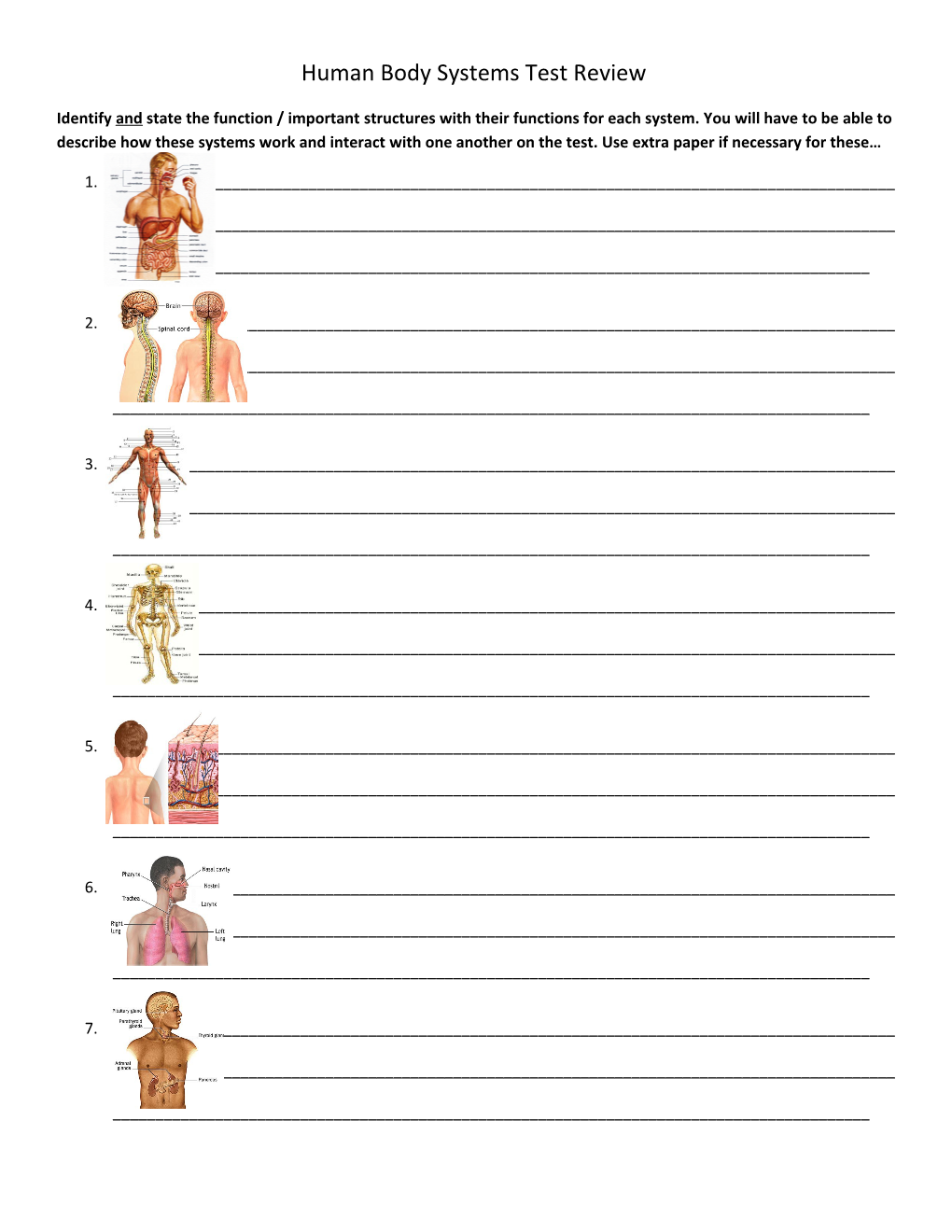 Human Body Systems Test Review