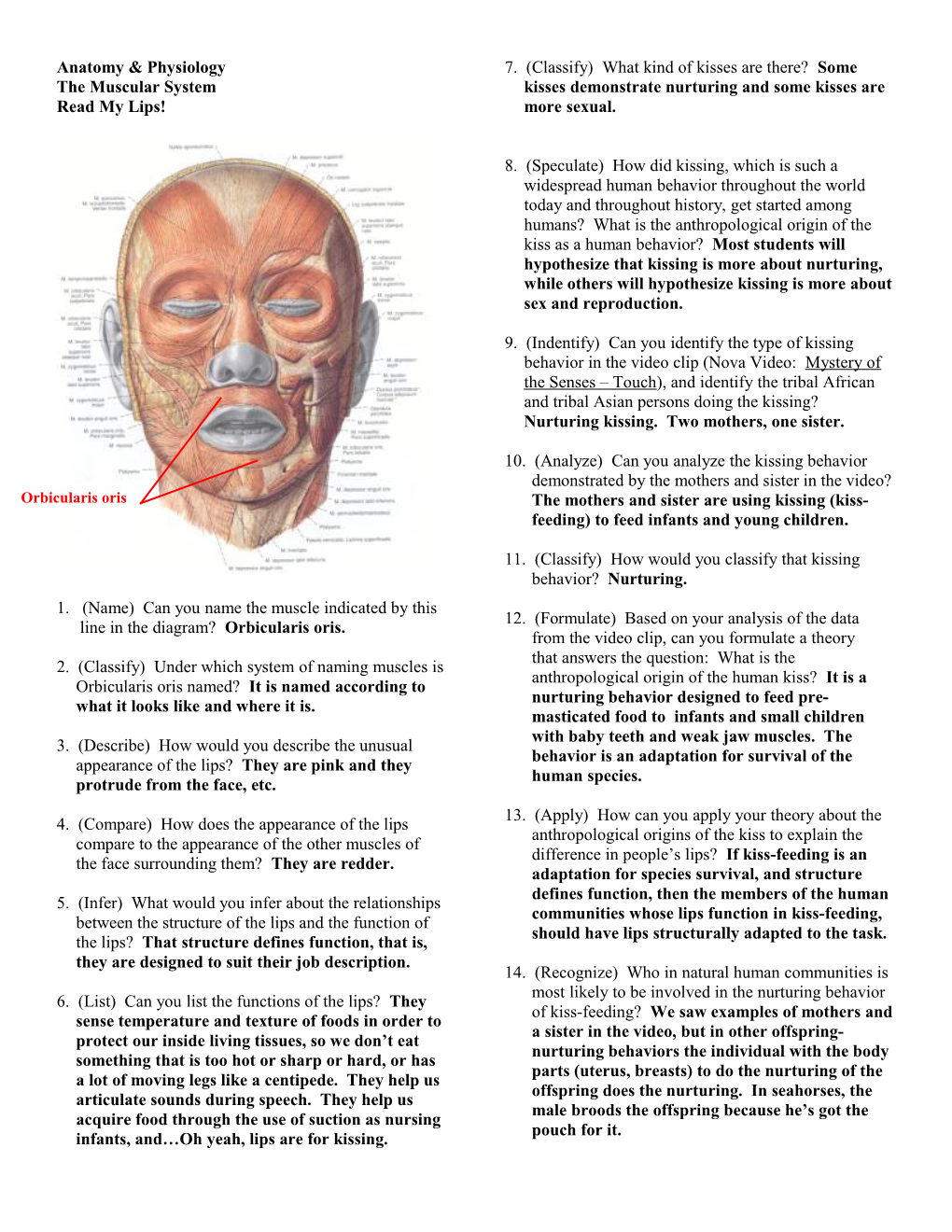 Anatomy & Physiology