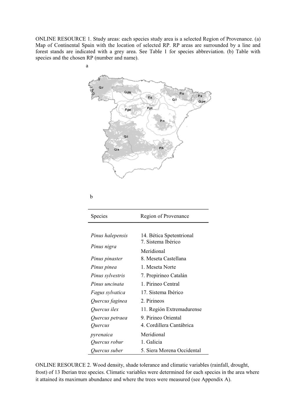 Do Spanish Canopy Dominant Tree Species Differ on Allometric Trends