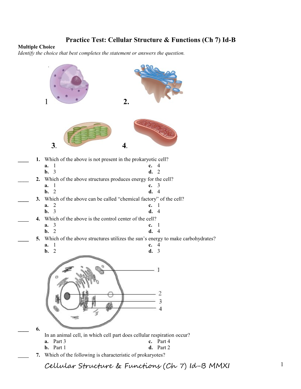 Test: Cellular Structure & Functions (Ch 7) Id-B